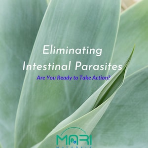 INSTANT PDF DOWNLOAD Eliminate Intestinal Parasites-Detox guide