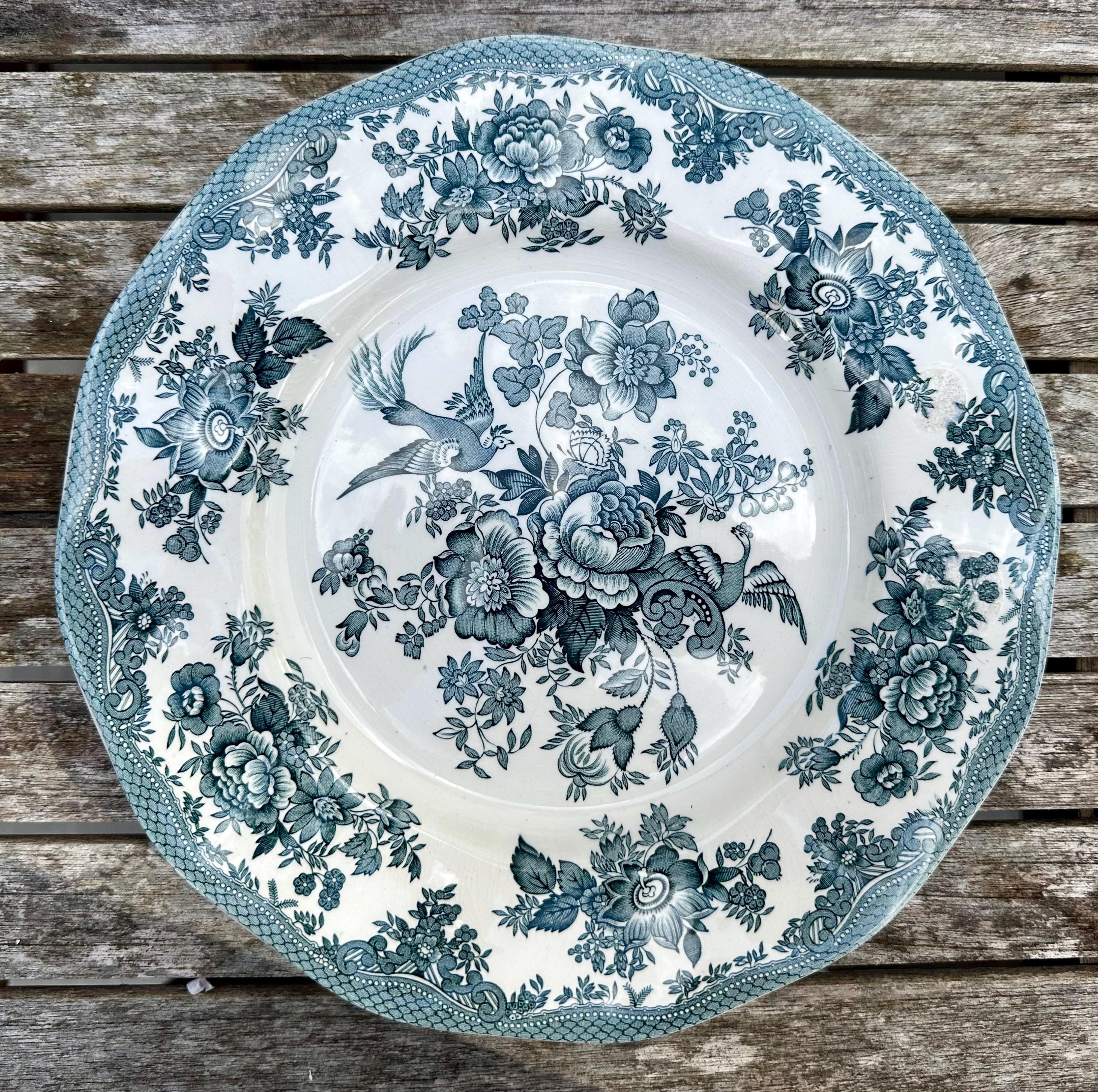 VINTAGE ENOCH WEDGWOOD Asiatic Pheasants Dinner Plate in Teal Blue