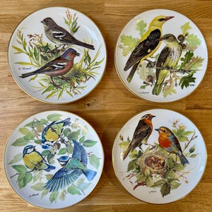 May include: Set of four decorative plates featuring colourful bird illustrations. Each plate has a white background with a gold rim and a green, brown, and yellow floral design. The birds are depicted in their natural habitats, with a variety of colours and patterns.