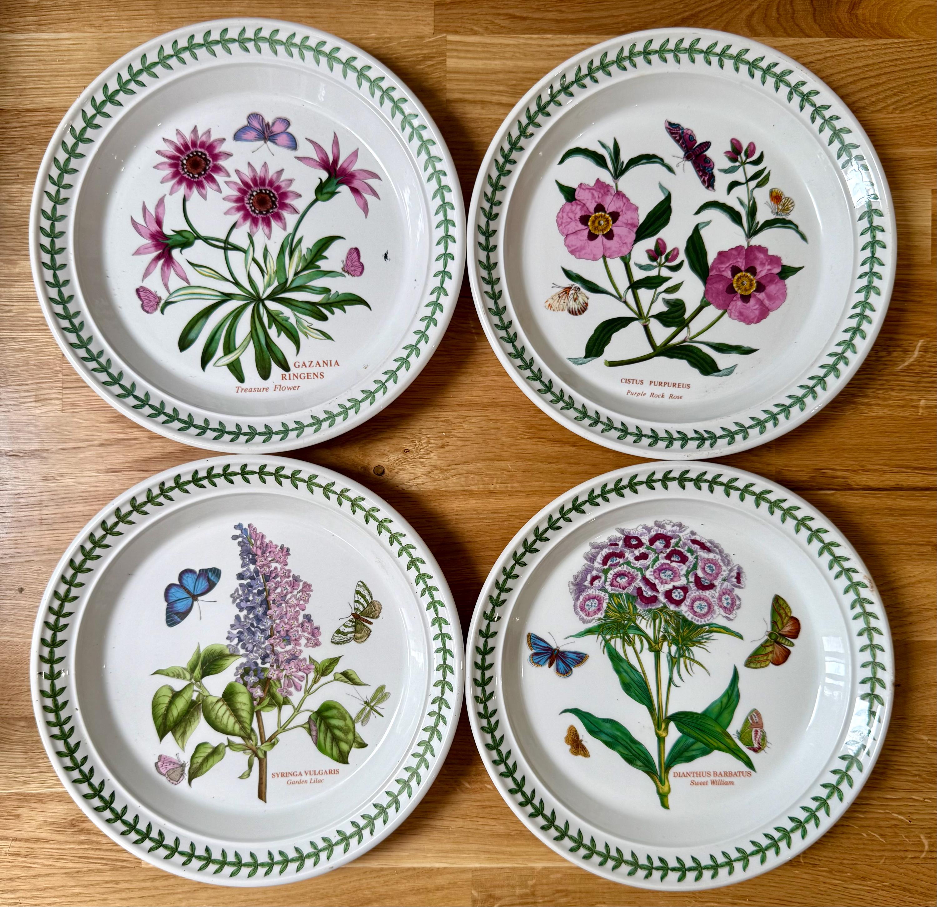 Portmeirion Botanic Garden Lilac - Etsy