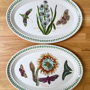 PORTMEIRON Susan Williams-Ellis Portmeirion Botanic Garden Keramik ovale Platte ~ 13 "x 9""