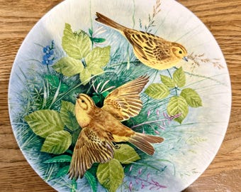 Royal Doulton, Fine Bone China Decorative Bird Plate "Yellow Hammer" "Birds of The Hedgerow" 1988 l Wall Decor, Gift Idea, Bird Lovers