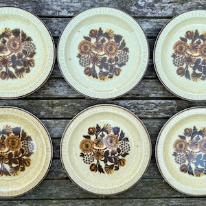 Puede incluir: Seis platos de cerámica vintage con un diseño floral. Los platos tienen un fondo color crema con un estampado floral marrón y beige en el centro. Los bordes son marrones con un borde texturizado.