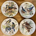 WORLD WILDLIFE Fund WWF Collector’s Decorative Bird Plates, Wall Decor, Gift Idea, 1980’s Blaumeise Germany, Bird Lovers Ursula Band Artwork