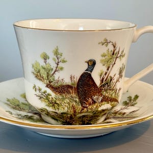 VINTAGE ELIZABETHAN English Pheasant Themed Tea Cup and Saucer - Elizabethan Staffordshire Hand Decorated Fine Bone China