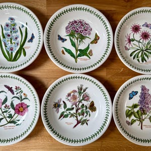 PORTMEIRON Susan Williams-Ellis Botanic Garden l Suppen- / Pastaschalen l 21 cm Durchmesser und 5 cm tief l Verkauft einzeln