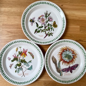 PORTMEIRON Susan Williams-Ellis Botanic Garden l Dessertteller / Salatteller l 21 cm Durchmesser l Wird einzeln verkauft