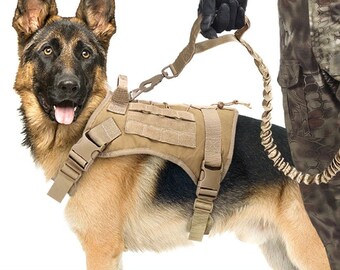 dog combat harness