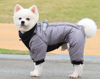 medium dog coat