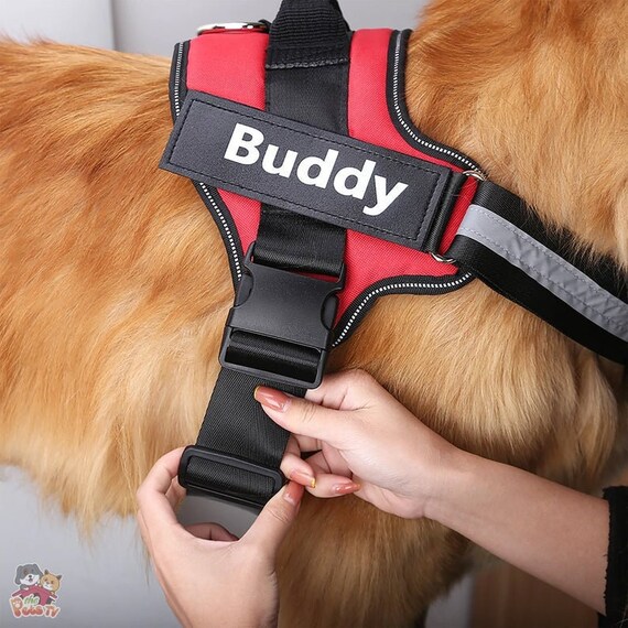 customizable dog harness