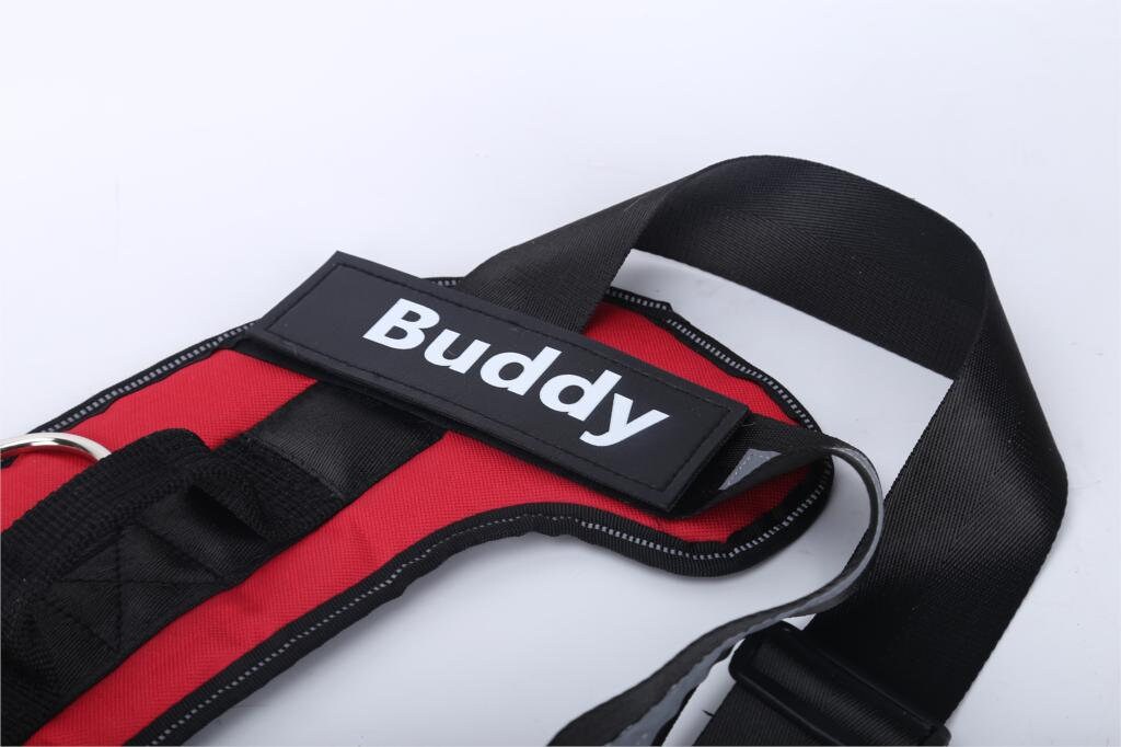 Personalized Dog Harness With Custom Name And Phone Number Etsy