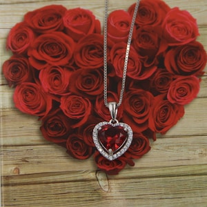Könnte beinhalten: Eine silberne Halskette mit einem herzförmigen Anhänger, der mit einem großen roten Edelstein besetzt ist, der von kleineren klaren Edelsteinen umgeben ist. Die Halskette wird vor einem Hintergrund aus roten Rosen gezeigt, die in Herzform angeordnet sind.