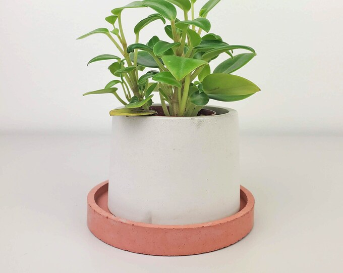 Mix and Match Planter With Drain Tray Indoor Cement Plant Pot Drainage