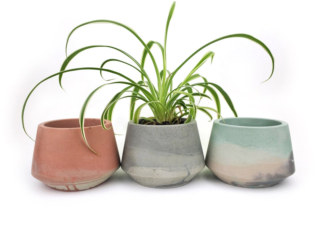 Small Flared Concrete Planter Cement Plant Pot Drainage Etsy