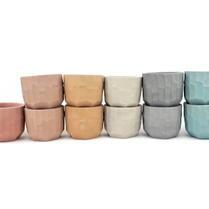 May include: A set of 10 small, textured concrete planters in various shades of pink, peach, beige, gray, and blue. The planters are arranged in a row, with the colors transitioning from pink to blue.
