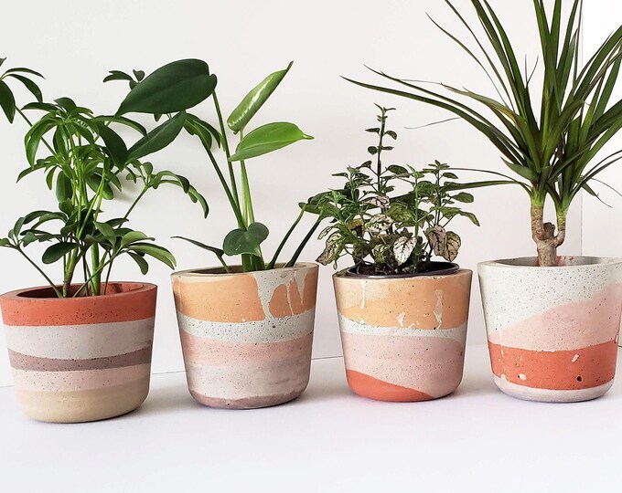 RESTOCK Multi Colored Concrete Planter Red Dusty Pink Tan Cement Plant