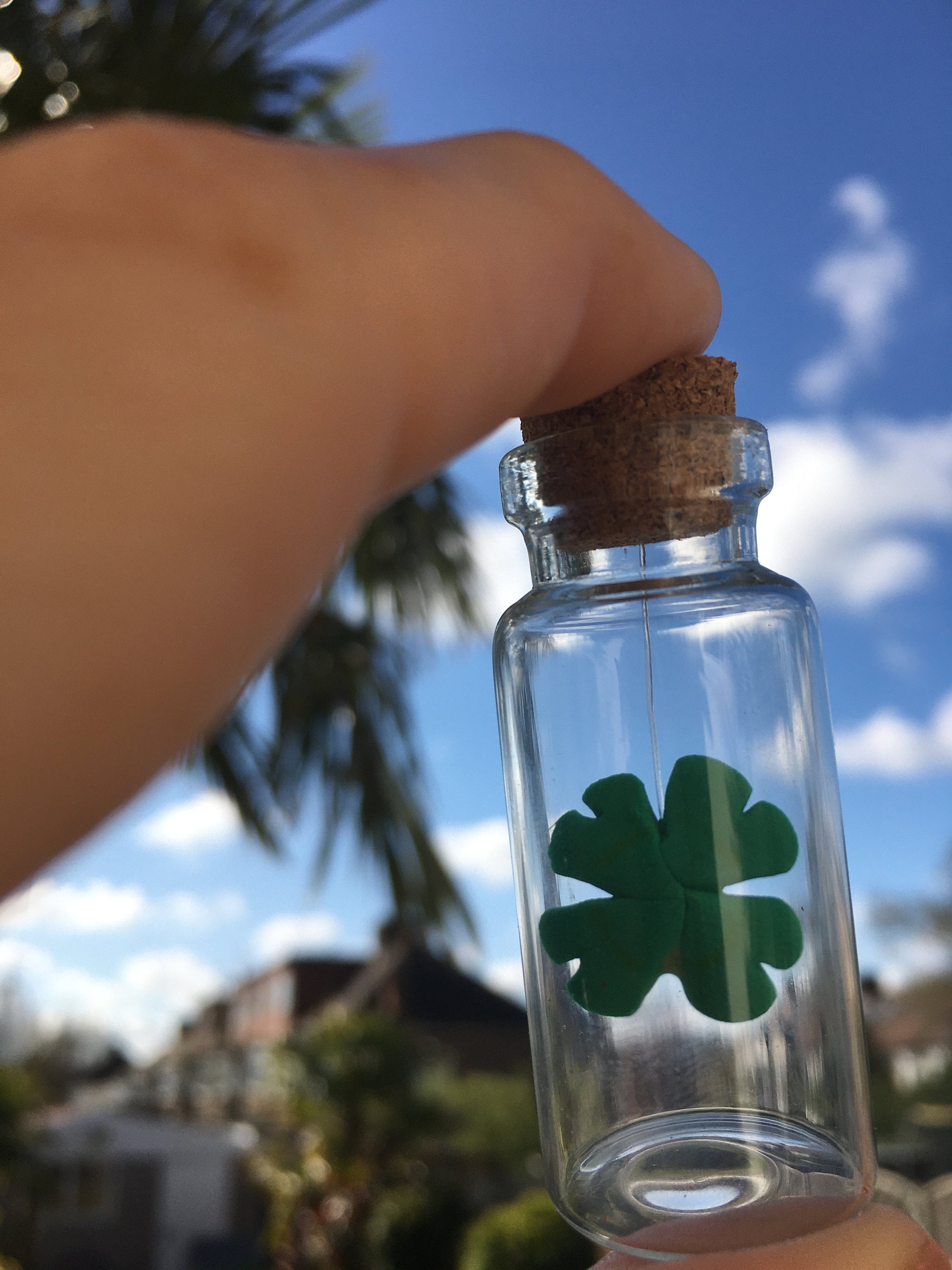 Unique Good Luck gift /keepsake for him her fully | Etsy