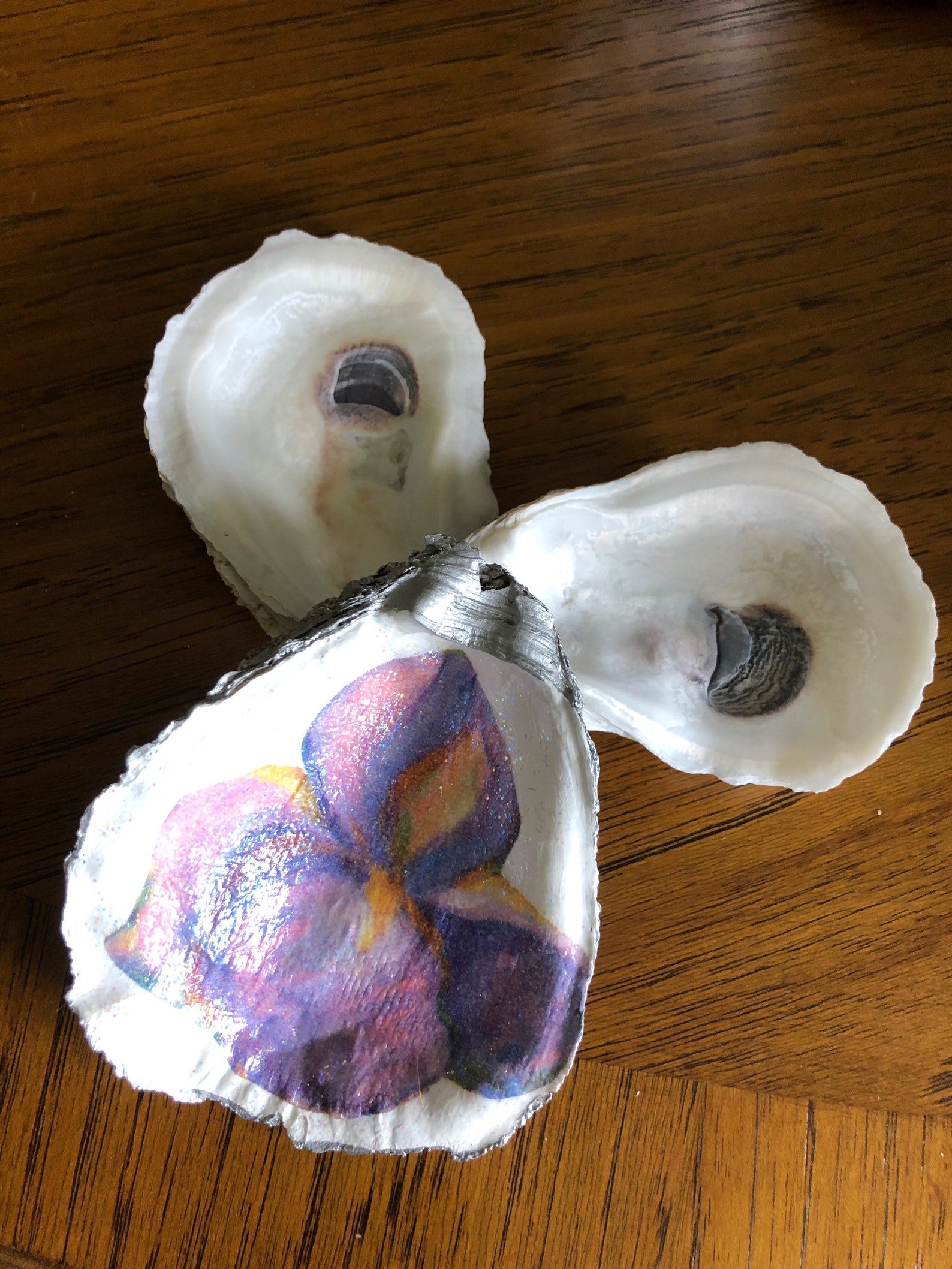 Purple Pansy Oyster Shell W/ Iridescent Glitter Etsy