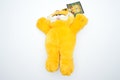 Soft Garfield plush | the famous orange cat