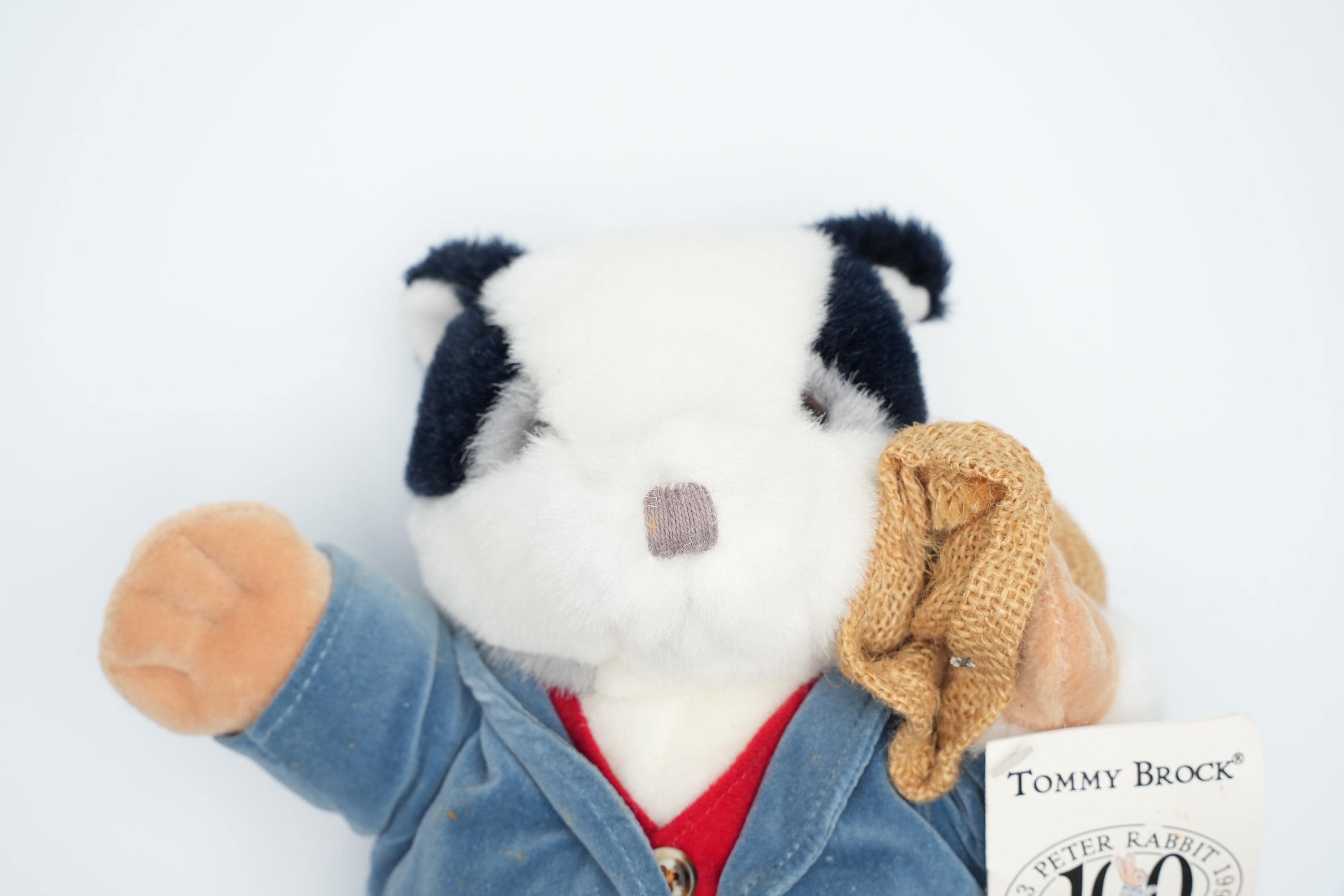 Bring the Magic of Beatrix Potter to Life With This Rare Tommy