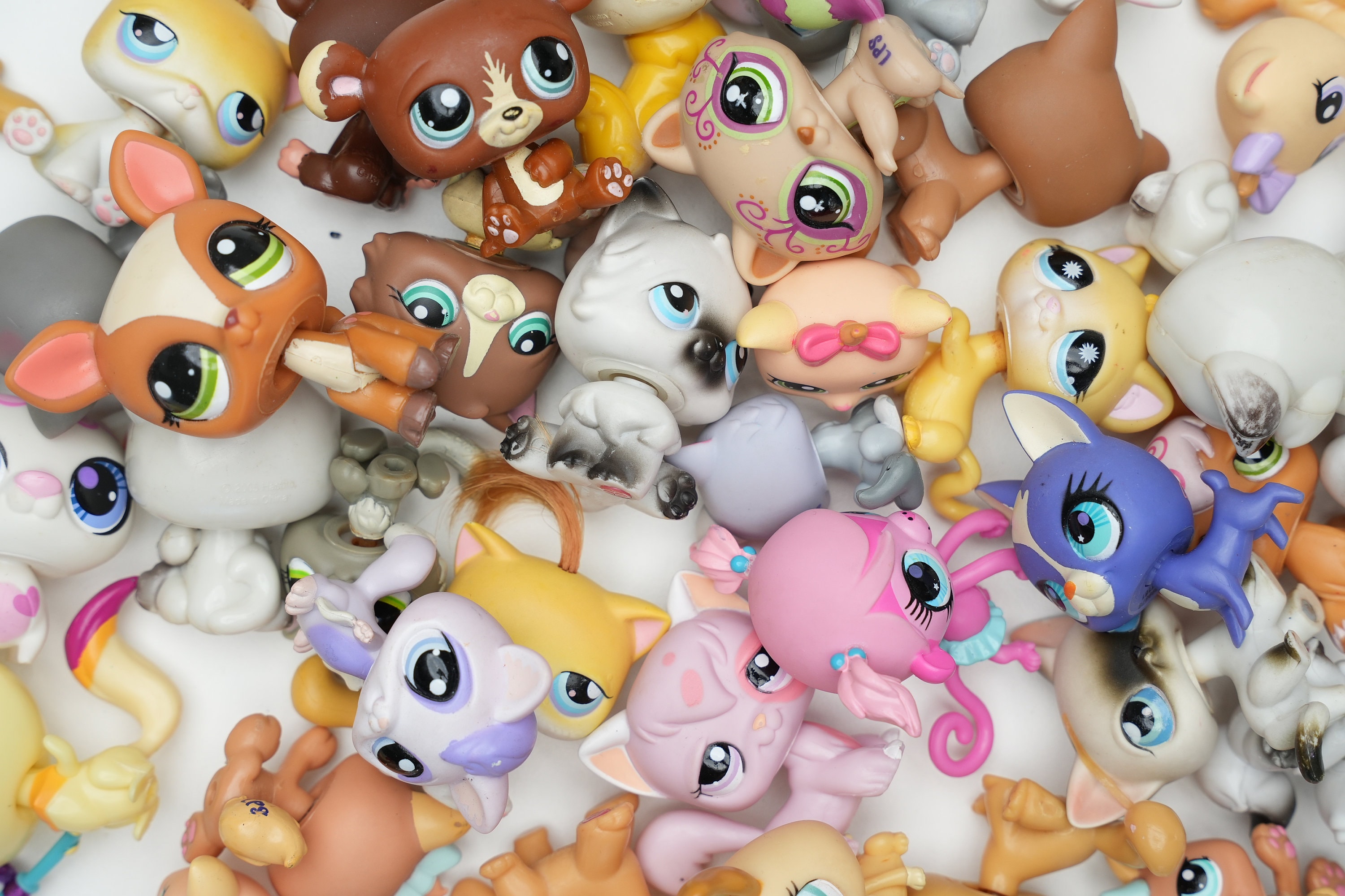 LPS Littlest pet shop chien European cat dogue colley cat dog rare