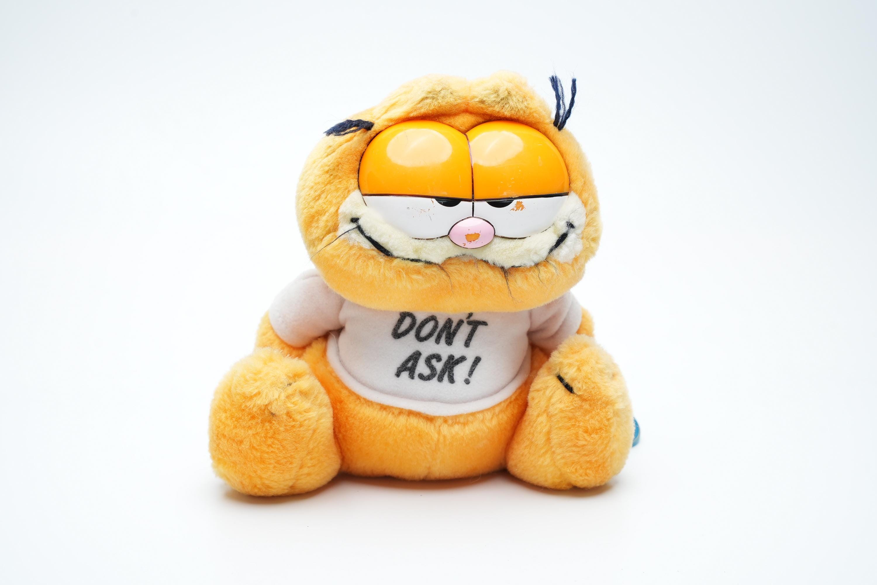 Vintage Garfield Plush Toy – Sitting With “don't Ask!” Shirt