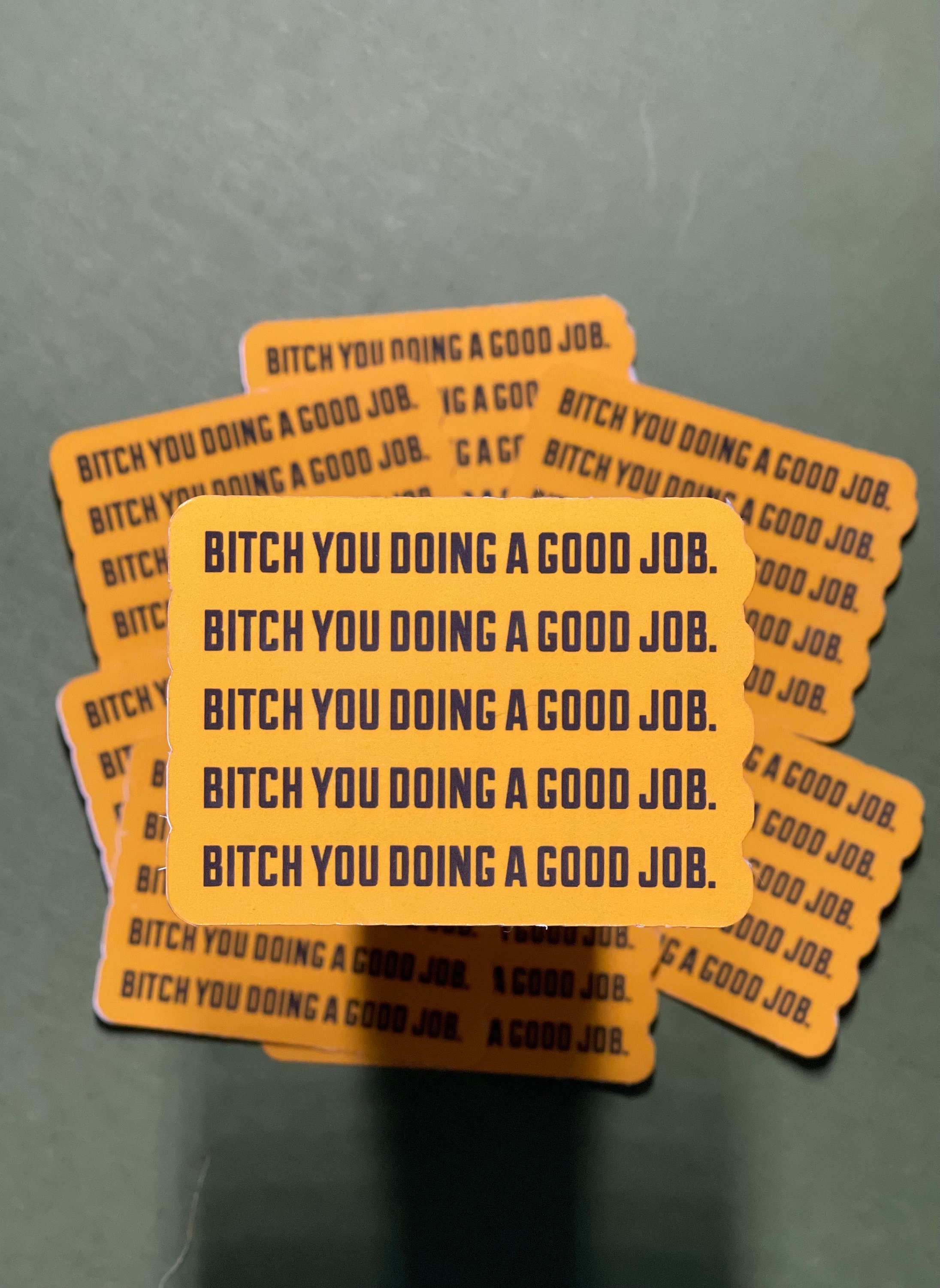 Bitch you doing a good job sticker waterproof gift etsy