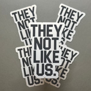 They Not Like Us - Kendrick Lamar - The Pop Out - Not like us - Song Lyric - Sticker - Waterproof - Gift - Water Bottle Sticker