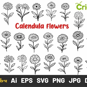 Calendula Flowers SVG, October Birth Flower SVG, Birth month flower, Flower Bouquet Svg, Flower Svg, Floral svg, Botanical svg, Wildflowers