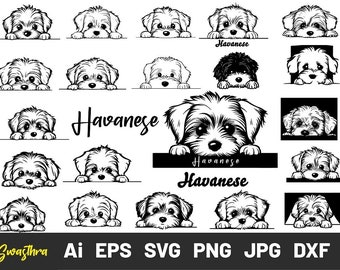 Peeking Havanese Puppy Svg, Peeking Havanese Clipart, Havanese Head, Dog Paws Breed Pet svg, Dog Cutting Files For Cricut, peeking dog svg,