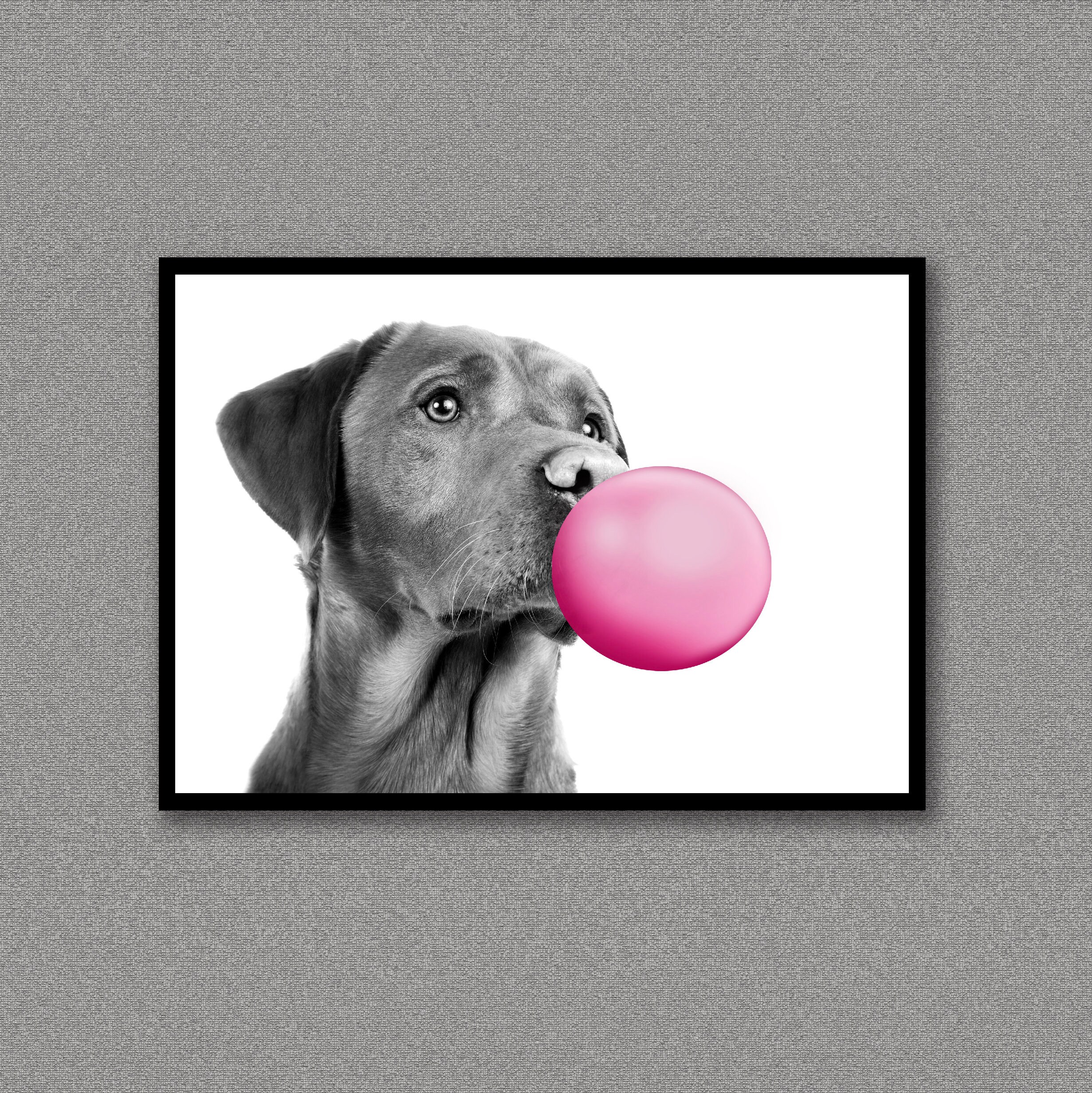 Hathaways dog show supplies cheap