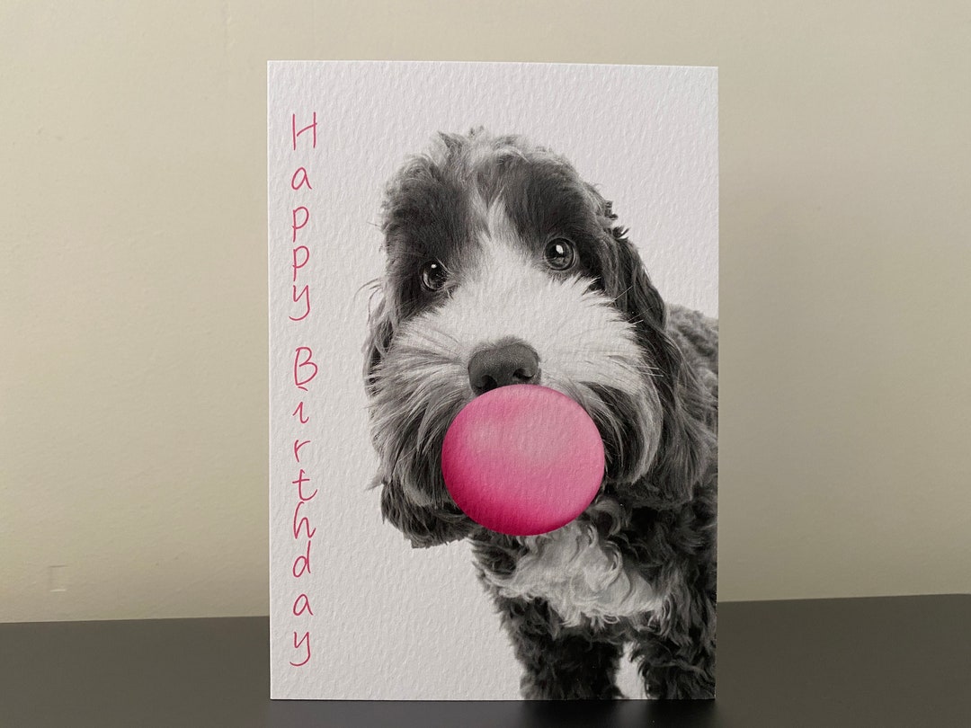 Cockapoo Happy Birthday Card, Cockapoo Blank Card, Dog Card,funny Dog ...