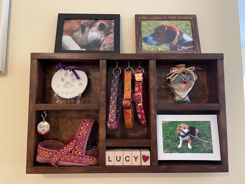 May include: A dark brown wooden pet display shelf with framed photos, dog collars, a paw print keepsake, and a dog harness. The shelf includes the name "LUCY" in wooden blocks and a heart.