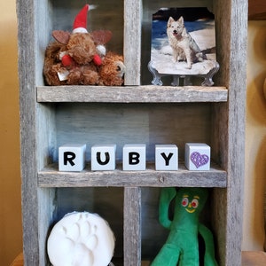 Peut inclure: Une étagère en bois avec cinq compartiments. L'étagère supérieure présente un élan en peluche portant un chapeau de Père Noël et une photo encadrée d'un chien blanc. La deuxième étagère a quatre blocs qui épellent "RUBY" et un bloc en forme de cœur violet. La troisième étagère a une empreinte de patte blanche et un personnage vert "Gummy".
