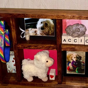 May include: A wooden display shelf with multiple compartments. It contains a rainbow dog collar, framed photos of dogs, a stuffed lamb, and blocks spelling "ACCIO". The shelf is stained a dark brown.