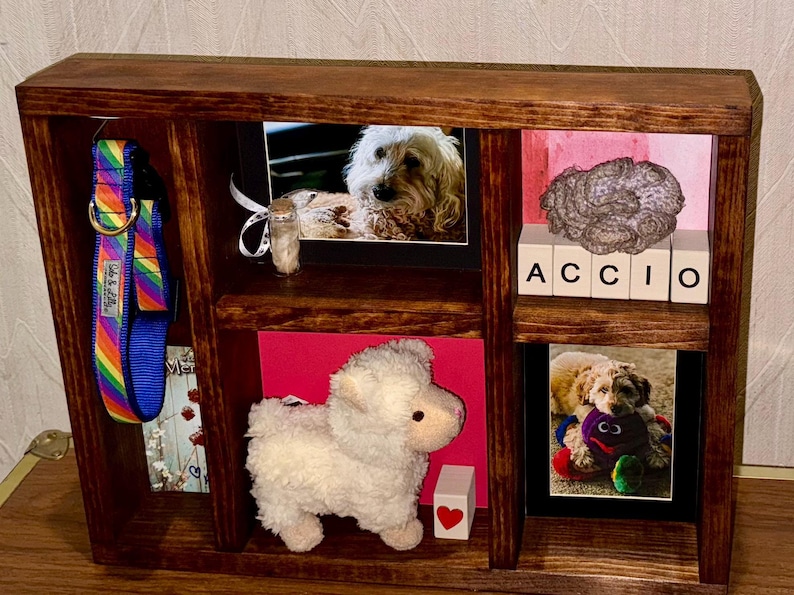 May include: A wooden display shelf with multiple compartments. It contains a rainbow dog collar, framed photos of dogs, a stuffed lamb, and blocks spelling "ACCIO". The shelf is stained a dark brown.