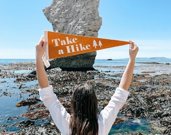 TAKE A HIKE Pennant Flag / felt pennant / gallery wall decor / caravan / outdoors / travel / adventure / mountain walks / camping / hiking