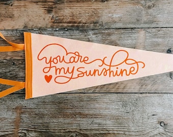 YOU are my SUNSHINE Pennant Flag / felt pennant / wall hanging banner / gallery wall decor / motivational / desk / girls bedroom / kindness