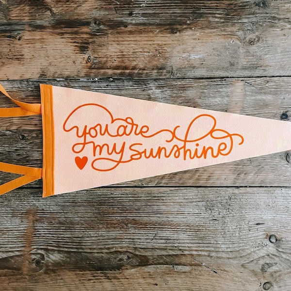 YOU are my SUNSHINE Pennant Flag / felt pennant / wall hanging banner / gallery wall decor / motivational / desk / girls bedroom / kindness