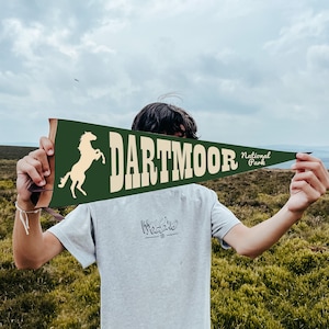 Pode incluir: Uma pessoa segura uma bandeira verde com o texto "Dartmoor National Park" e uma silhueta de um cavalo. A bandeira é segurada na frente do rosto da pessoa.