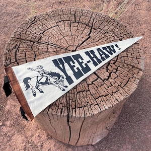 YEE-HAW cowboy Pennant Flag / felt pennant / country singer / cowboy hat / wild west / texas / country western / wall hanging decor