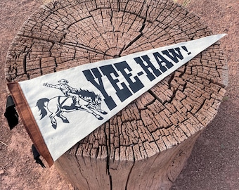 YEE-HAW cowboy Pennant Flag / felt pennant / country singer / cowboy hat / wild west / texas / country western / wall hanging decor