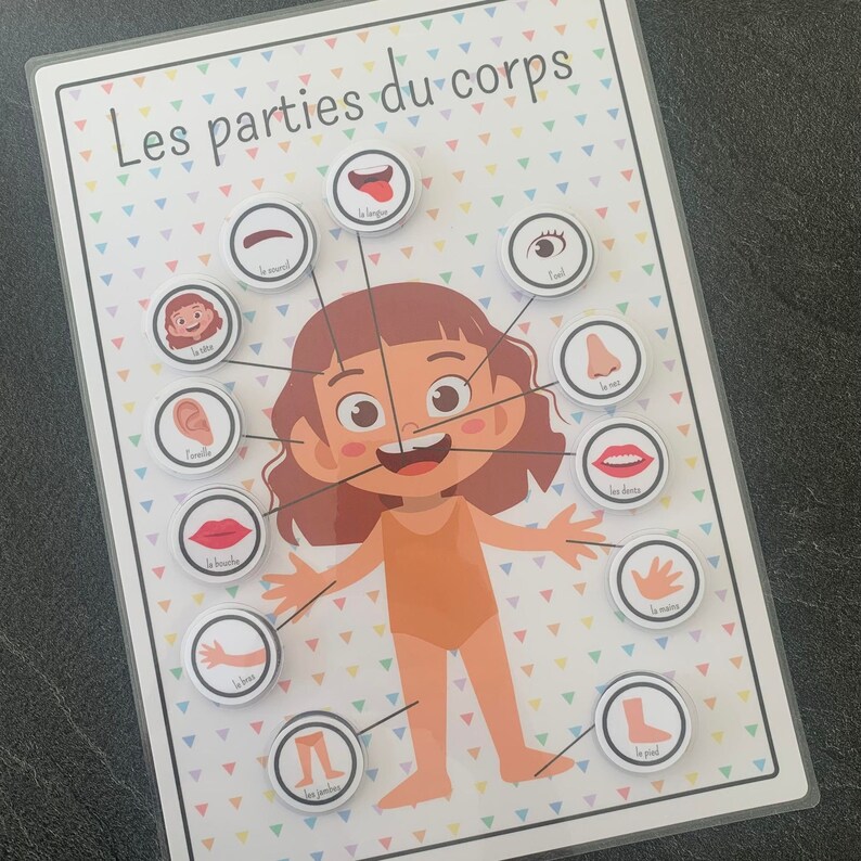 Les parties du corps Montessori - Créatrice ETSY : Just4kidsbymimi