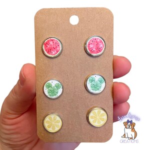 Fruit Stud Earrings Set – 3 Pack of Watermelon, Lime, and Lemon Earrings – Stainless Steel Hypoallergenic Studs
