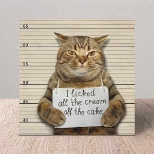 Funny Cat Birthday Card, Funny Cat Card, Humorous Cat Card, Quirky Cat Card, Unusual Cat Card, Cat Lover Card - Moggie Mugshot