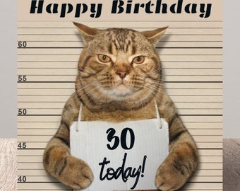 30th Birthday Card, Funny Cat 30 Birthday Card, Funny Cat Birthday Card, Funny Cat Card, Humorous Cat Card, Quirky Cat Card, Cat Lover Card