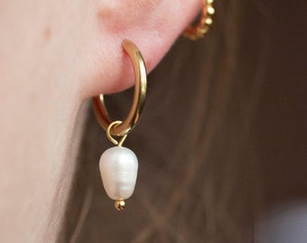 15mm Gold Earrings with faux Pearl