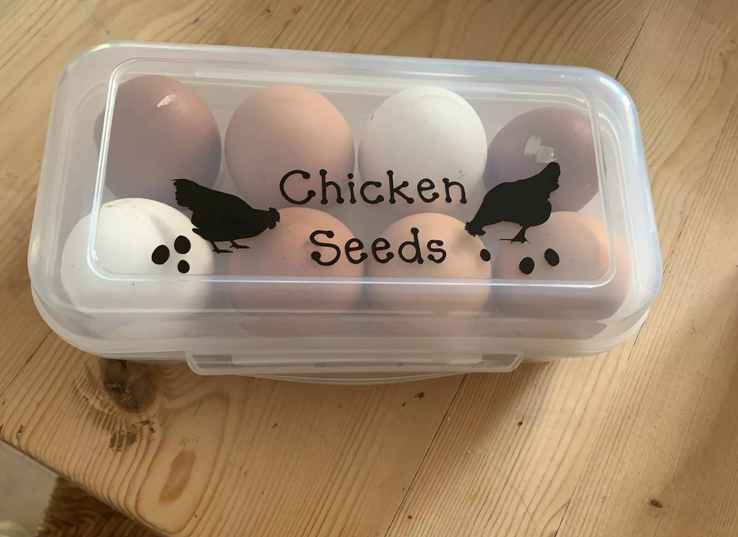 Plastic Egg Box Egg Storage for 18 or 8 Eggs Etsy
