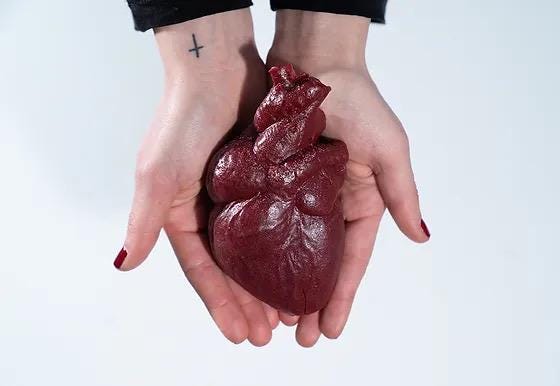 human heart