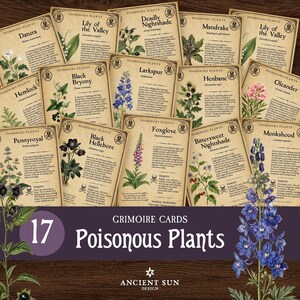 May include: A collection of 17 Grimoire cards featuring illustrations and descriptions of poisonous plants including Datura, Lily of the Valley, Deadly Nightshade, Mandrake, Hemlock, Black Bryony, Larkspur, Henbane, Oleander, Pennyroyal, Black Hellebore, Foxglove, Bittersweet Nightshade, and Monkshood on aged paper.
